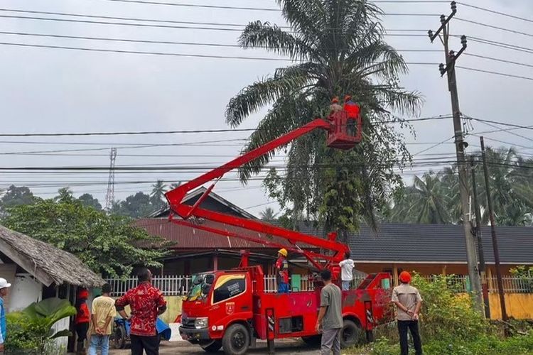 Cegah Pohon Tumbang Timpa Sekolah, BPBD Agam Tebang 3 Pohon di SDN 04 Sikabu