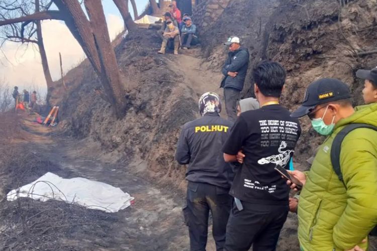 Karhutla Bromo Tewaskan 4 Orang, Begini Kronologi 6 Korban Terjebak Api