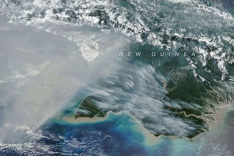 NASA Pantau Karhutla Papua dari Satelit, Emisi Karbon Tembus 35 Juta Ton