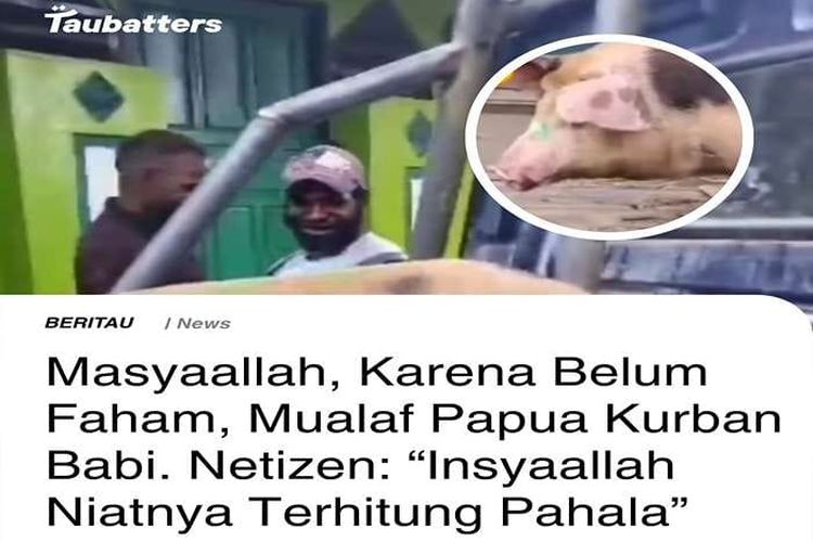 Baru Masuk Islam, Mualaf Papua Rayakan Idul Adha dengan Kurban Babi Sebab Belum Paham! Netizen: Apresiasi Banget...
