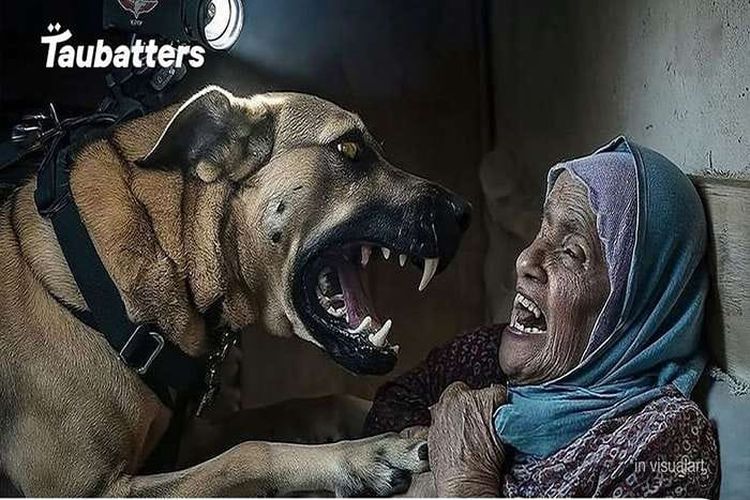 Potret Tentara Israel Lepaskan Anjing untuk Serang Nenek di Kampung Pengungsian Gaza, Netizen: Dasar Biadab