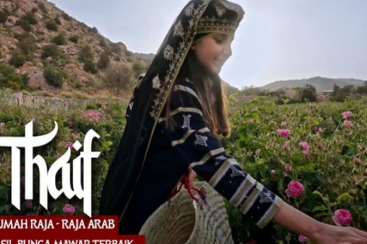 Mengenal Lebih Dekat Kota Thaif, Rumah Raja-Raja Arab yang Sejuk dan Indah Penghasil Parfum Mawar Terbaik