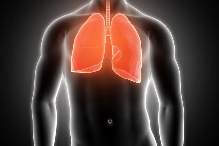 Tips Mengatur Pernapasan untuk Kesehatan dan Ketenangan