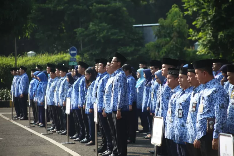 Ilustrasi Pegawai Negeri Sipil dan PPPK
