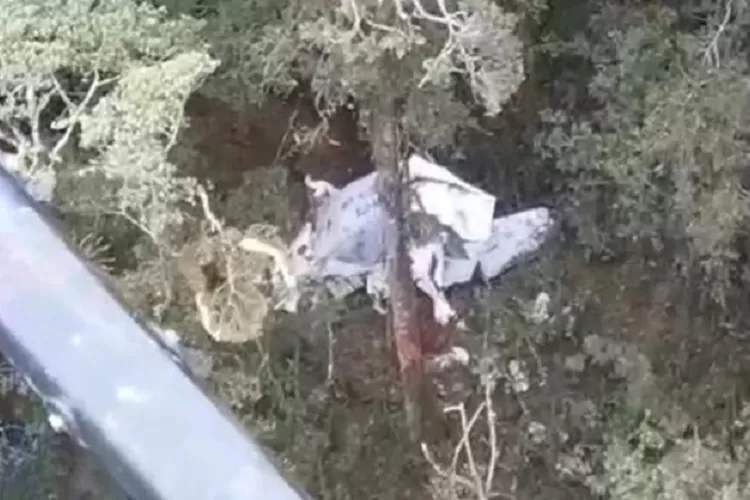 Ditemukan di Gunung, Kokpit Pesawat Rimbun Air Hancur, Tersisa Cuma Bagian Tengah dan Ekor. Kondisi Pesawat Rimbun Air PK-OTW yang berhasil ditemukan di pegunungan Sugapa, Intan Jaya, Papua.  (Tangkapan layar/ist)