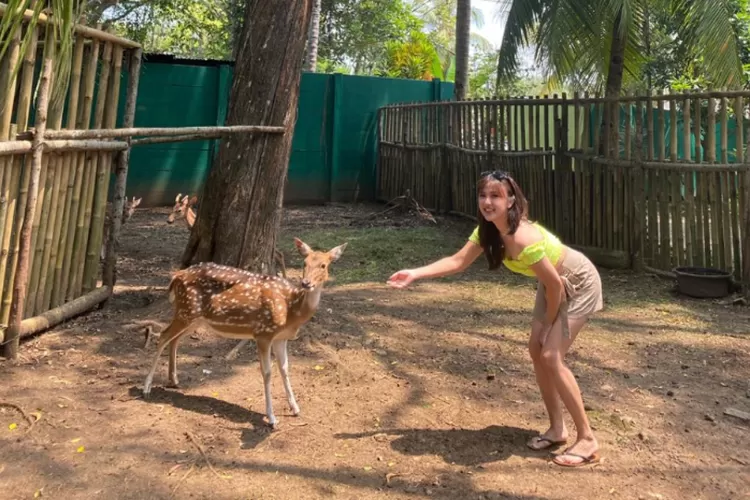 Mutiara Carita Pandeglang Sediakan Kebun Binatang Tempat Wisata