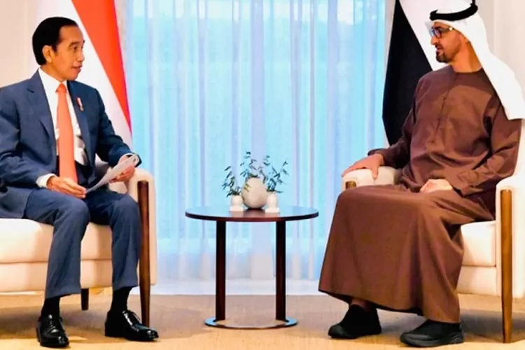 Jokowi Akan Undang Pangeran Mohammed Bin Zayed Ke KTT G20 Di Indonesia ...