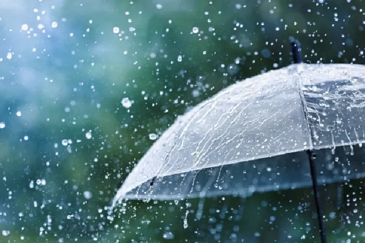 Di Musim Hujan Apa Saja yang Harus Diwaspadai? (Pixabay)