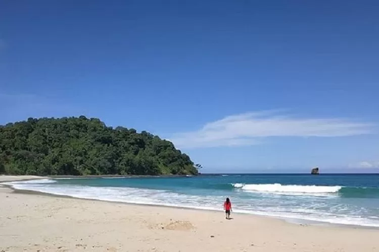 Profil Pantai Sendiki Yang Menawan Di Kabupaten Malang Lokasi Akses Hingga Harga Tiket Masuk 