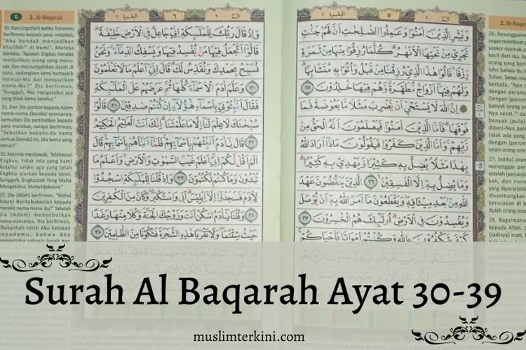 Surah Al Baqarah Ayat 30-39 Arab Latin Dan Artinya, Tentang Penciptaan ...