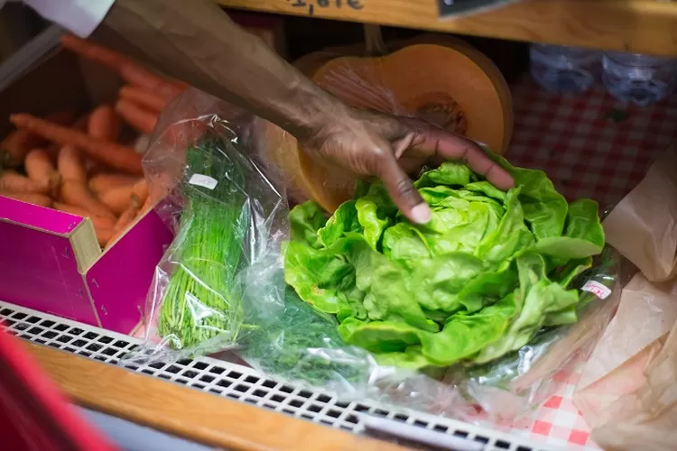 7 Tips Menyimpan Sayuran Tanpa Kulkas Lakukan Ini Agar Sayur Tetap Segar Dan Tahan Lama Jatim 7938