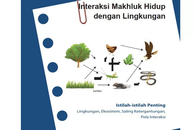 Kunci Jawaban IPA Kelas 7 Halaman 37 38 Ayo Kita Latihan Bab Interaksi ...