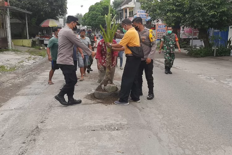 Warga Tanami Jalan Rusak di Desa Dayu Blitar Dengan Pohon Pisang (Foto: Nur Ana Alana / AGTVNews.com)