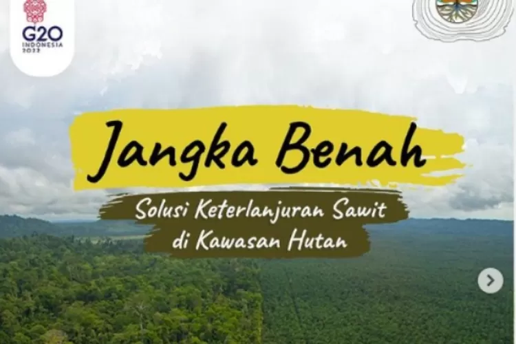 Jangka Benah Solusi Keterlanjuran Sawit Di Kawasan Hutan, Apa Dan ...