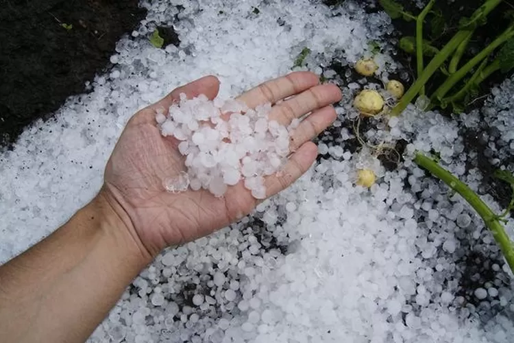 6 Perbedaan Hujan Es Dengan Hujan Salju, Ini Penjelasan BMKG - Suara ...