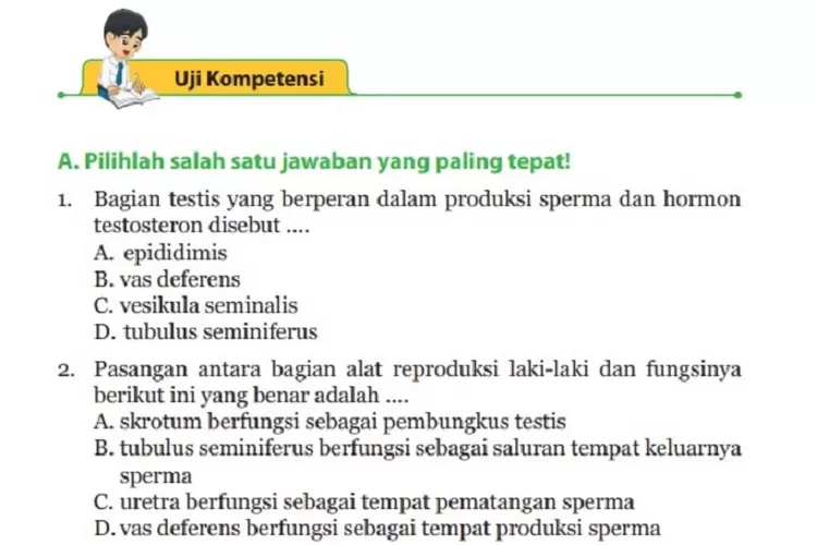 Kunci Jawaban IPA Kelas 9 Semester 1 Halaman 47 Dan 48 Tentang Sistem ...