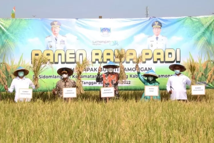 Panen raya padi di Desa Sidomlangean Kedungpring Kabupaten Lamongan Provinsi Jawa Timur (Lamongankab.go.id)