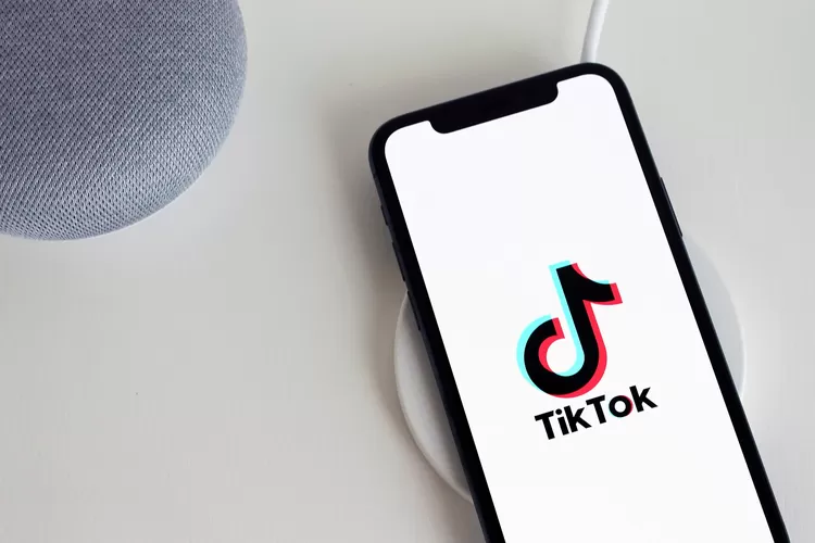 Cara Download TikTok MP4 Tanpa Watermark di SnapTik, Mudah dan Gratis! -  Banten Raya