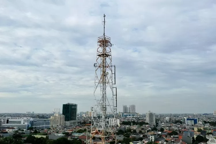 Mitratel Garap Peluang Kebutuhan Menara Lewat Fiberisasi Antar BTS ...