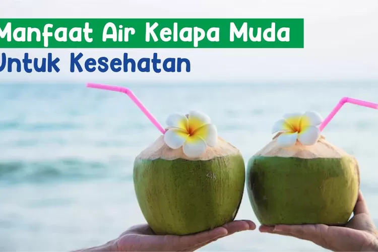 Selain Enak, Ternyata Ini 11 Manfaat Air Kelapa Muda Bagi Kesehatan ...