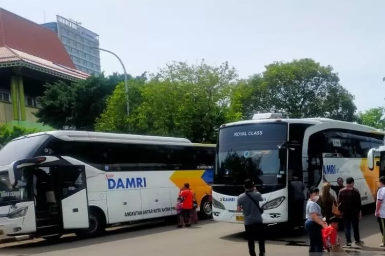 Ilustrasi calon penumpang DAMRI.  (ANTARA/HO-DAMRI)