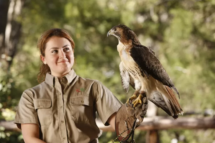 gaji zookeeper taman safari