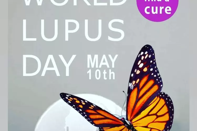 Lupus yang diperingati setiap tanggal 10 Mei ini, adalah penyakit autoimun yang dapat mempengaruhi organ tubuh manapun. (Instagram @uzi.didz)