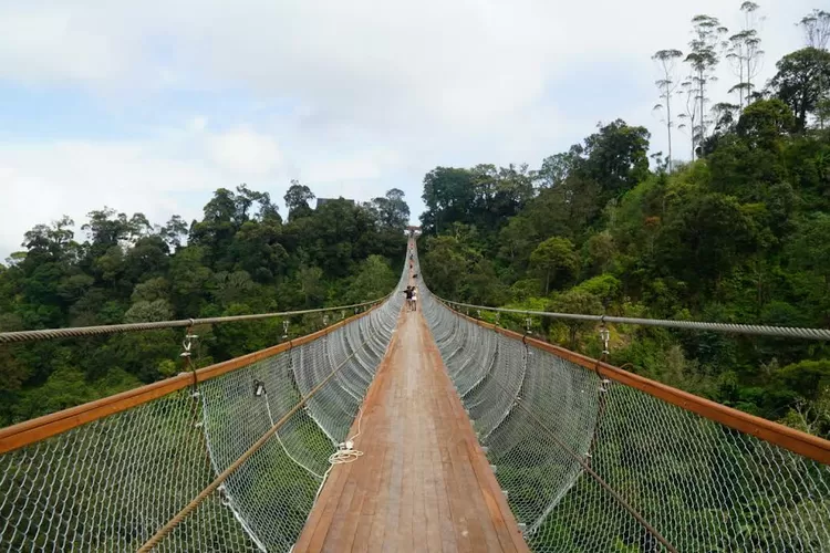 Jembatan Gantung Rengganis, Destinasti Wisata Baru di Bandung yang Menjadi Jembatan Gantung Terpanjang Se-Asia Tenggara (Google Maps Rengganis Suspension Bridge)