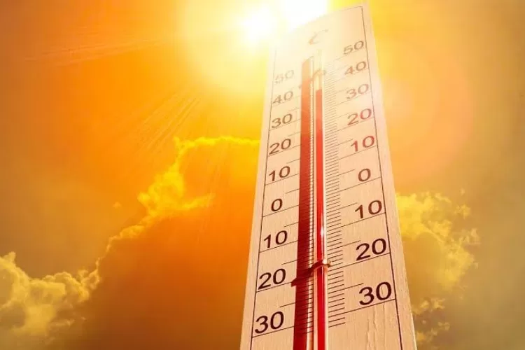 Ilustrasi panas ekstrem (Istimewa)