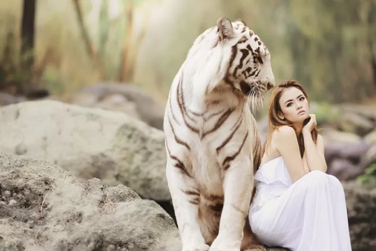 Ilustrasi, ciri khusus wanita yang memiliki khodam harimau (Pixabay)