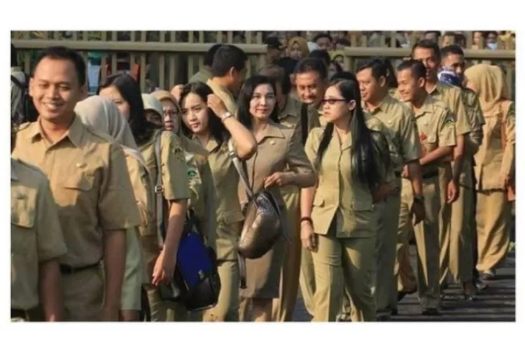 Honorer usia 35-46 berbahagia! Pemerintah siap lakukan perubahan besar di sistem rekrutmen PNS (Instagram @cpnsindonesia.id)