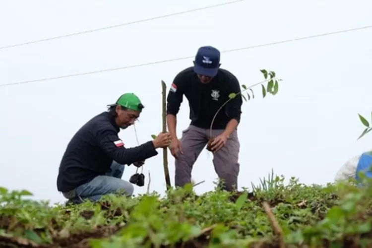 Ilustrasi merawat lingkungan. Sejumlah anggota komunitas peduli lingkungan Kabupaten Batang melakukan penanaman bibit pohon di wilayah Desa Pranten Kecamatan Bawang.  (dok)