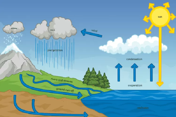 apa-itu-siklus-air-dan-apa-saja-tahapannya-harian-haluan