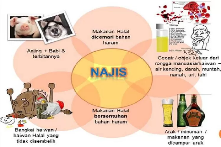 Macam Macam Najis Dan Cara Mensucikannya Menurut Islam Liputan Kendal