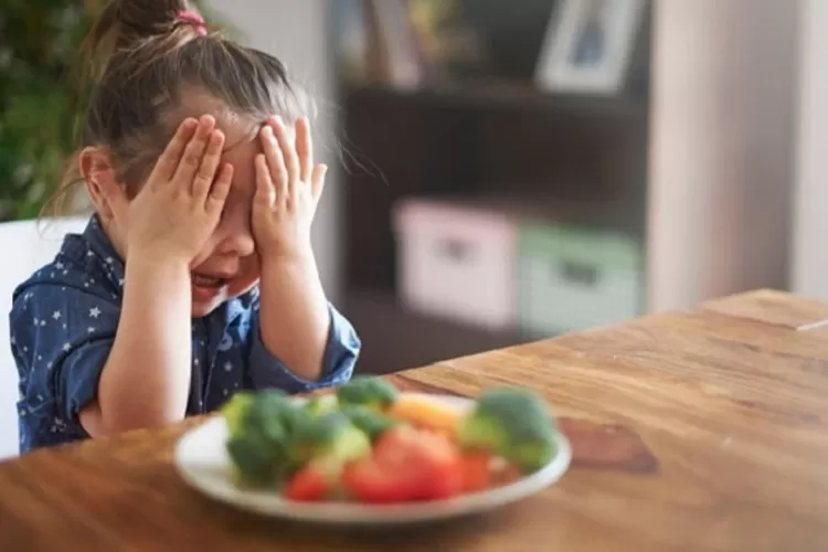 Kenali Penyebab, Anak Sulit Makan Dan Cara Mengatasinya - Info Dinamis