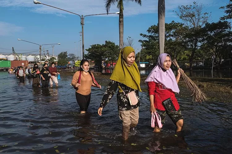 BMKG Peringkatkan Gelombang Tinggi 6 Meter Dan Potensi Banjir Rob Di ...