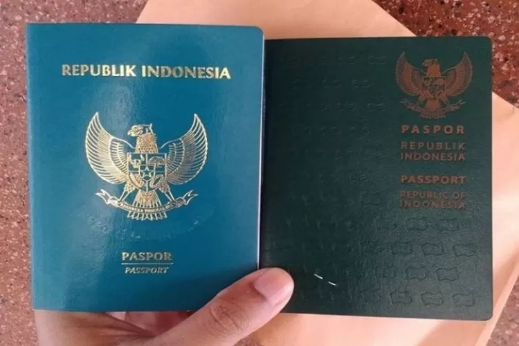 Ingin Membuat Paspor Untuk Berlibur, Simak Cara, Syarat Dan Biayanya ...