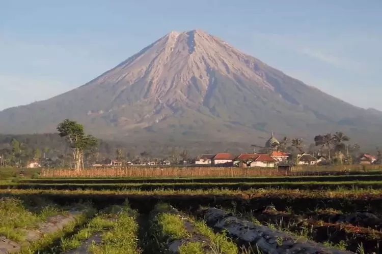 Cerita Pendaki Gunung Semeru: Tersesat Dalam Pendakian Gunung Semeru ...