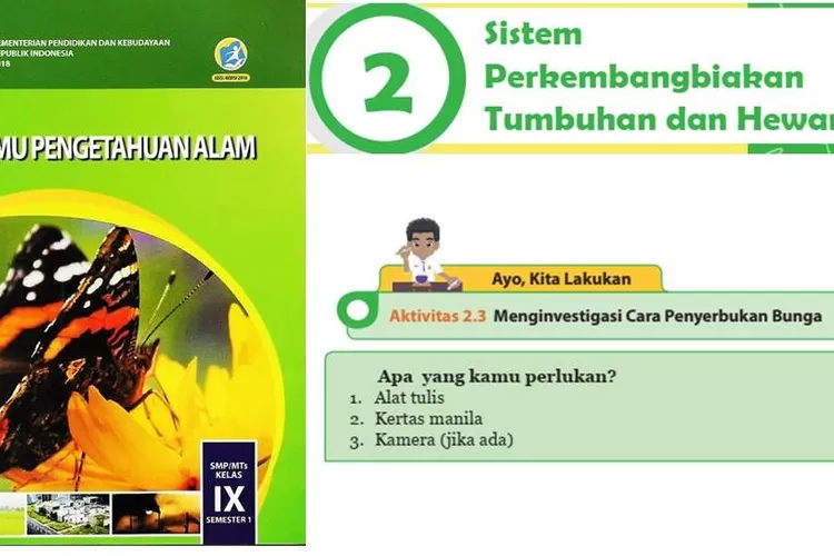 Kunci Jawaban IPA Aktivitas 2.3 Kelas 9 Halaman 66 67: Investigasi Cara ...