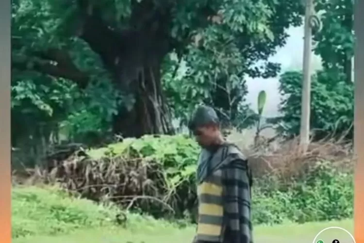 Link video kakek bawa kepala putus no sensor bantak dicari warganet.  (Tangkap layar TikTok)