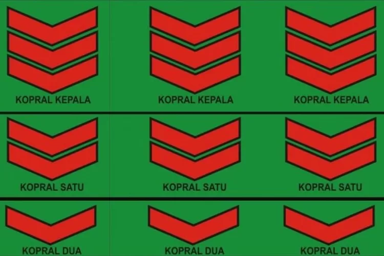 Harus Tahu Begini Urutan Pangkat Tni Dari Terendah Sampai Tertinggi Ayo Medan 