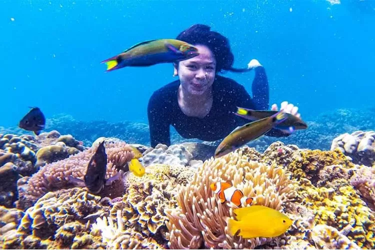 10 Tempat Snorkeling Di Bali: Menikmati Keindahan Bawah Laut Pulau ...