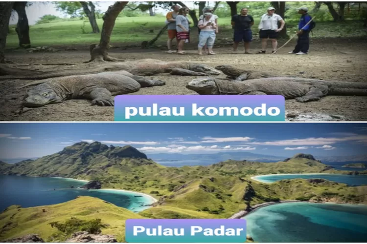 Arahan Presiden Jokowi, Biaya Masuk Rp.3,75 Juta Pulau Komodo Dan Padar ...