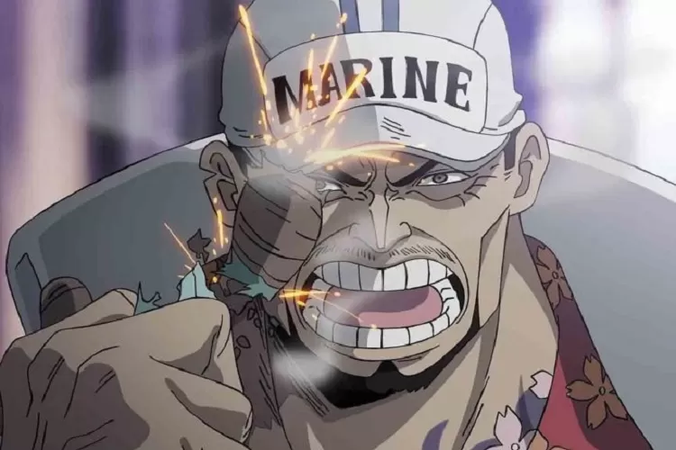 Fakta Unik One Piece Hal Yang Harus Diketahui Dari Akainu Sang Fleet Admiral Angkatan Laut