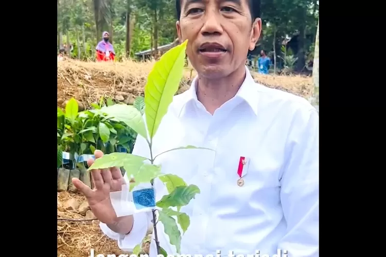 4 Cara Agar Krisis Pangan Tidak Terjadi Di Indonesia, Menurut Joko ...