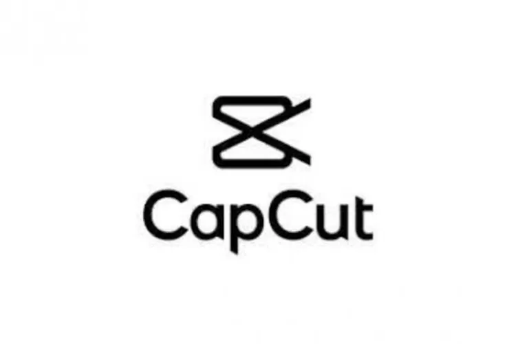 Savefrom.net untuk Download Video CapCut Tanpa Watermark, Sangat Mudah dan Cepat.