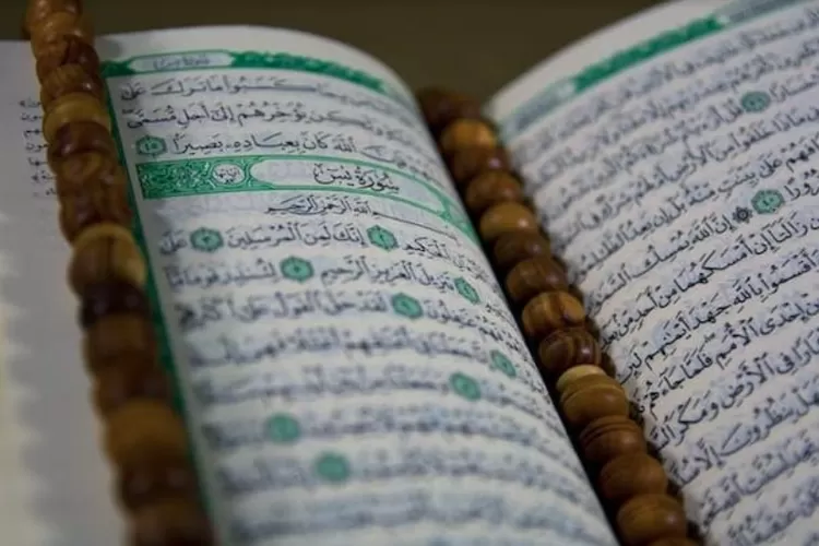 Surat Yasin Ayat Tulisan Arab Dan Latin Lengkap Dengan