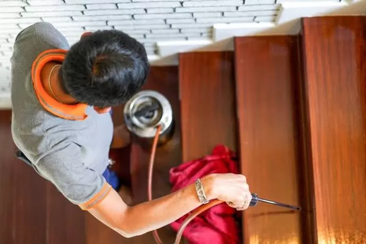 cara membasmi rayap di furniture kayu rumah (Istimewa )