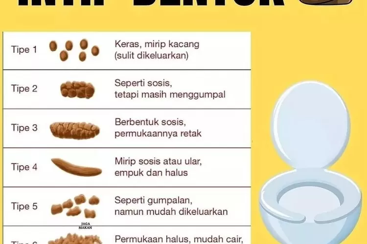 Tahukah Anda Bahwa Tekstur Feses Bisa Mengetahui Kondisi Kesehatan ...