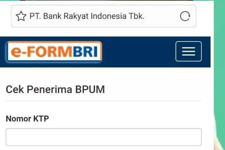 Berikut Syarat Dan Cara Daftar Jadi Penerima Blt Umkm Bansos Bpum